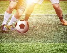 促进高质发,优化税收生,多方位实现,星际娱乐,星际娱乐官网,星际娱乐官网玩家首选