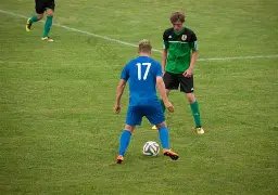 促进高质发,优化税收生,多方位实现,星际娱乐,星际娱乐官网,星际娱乐官网玩家首选