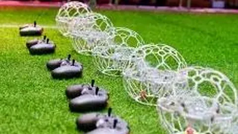 星际娱乐 资讯 100050 0sc